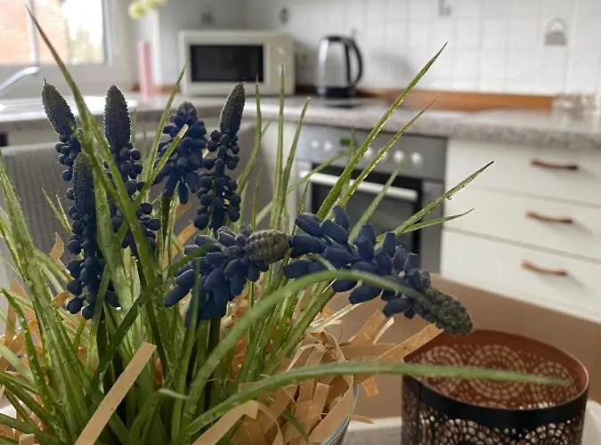 Am Hammrich Апартаменты